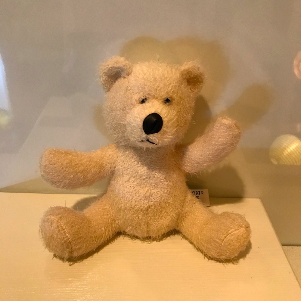 Teddy bear